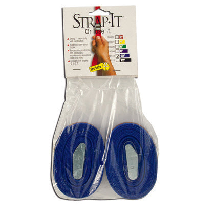 2WS10 Web Straps with Buckle,10', Nylon, Blue